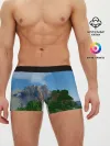Мужские трусы боксеры / Minecraft