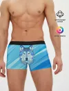 Мужские трусы боксеры / Холодный волк