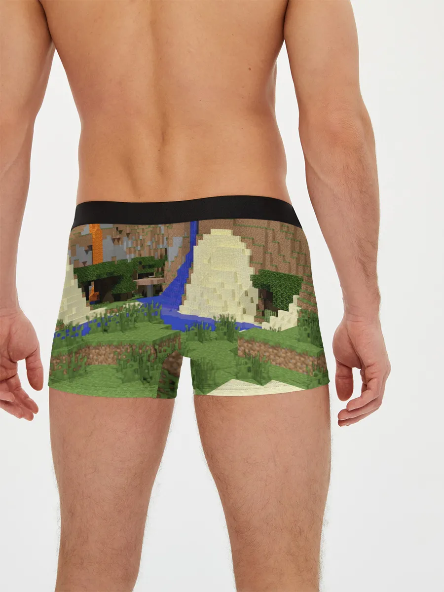 Мужские трусы боксеры / Стив и эндермен.