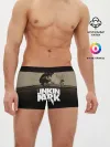 Мужские трусы боксеры / Linkin Park Meteora