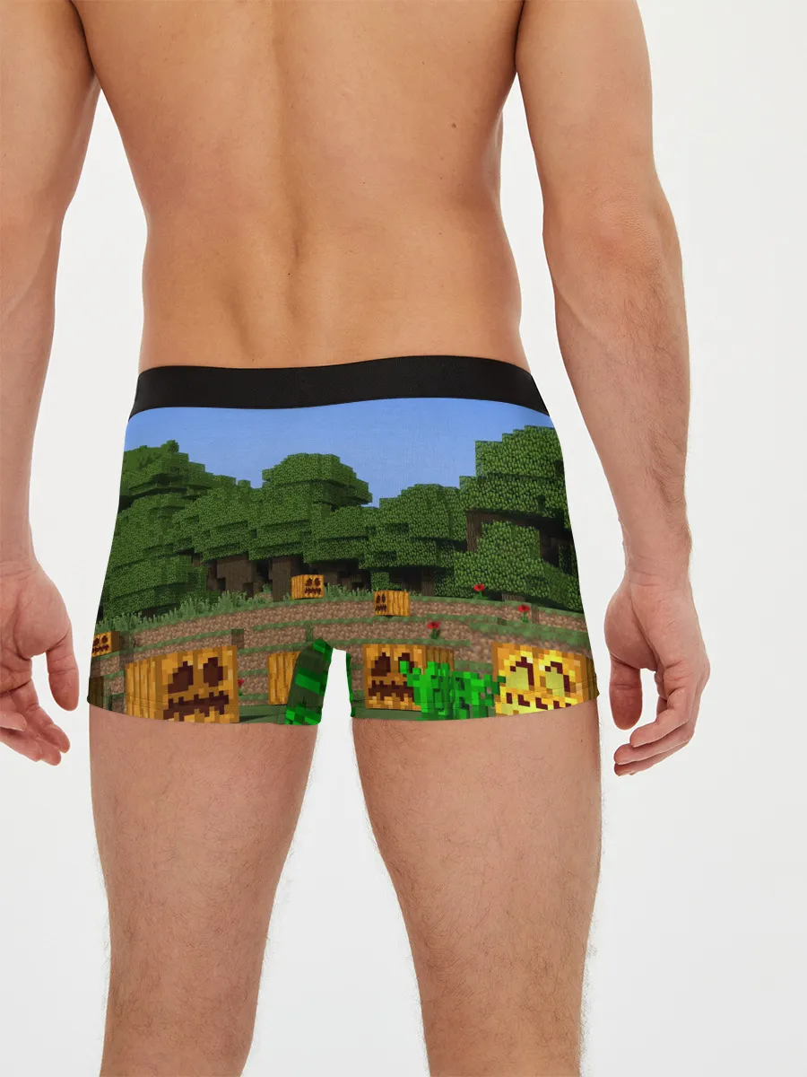 Мужские трусы боксеры / Стив бросает ендерперл.