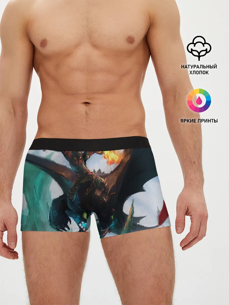 Мужские трусы боксеры / как приручить дракона