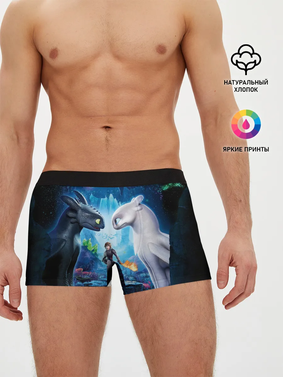 Мужские трусы боксеры / как приручить дракона