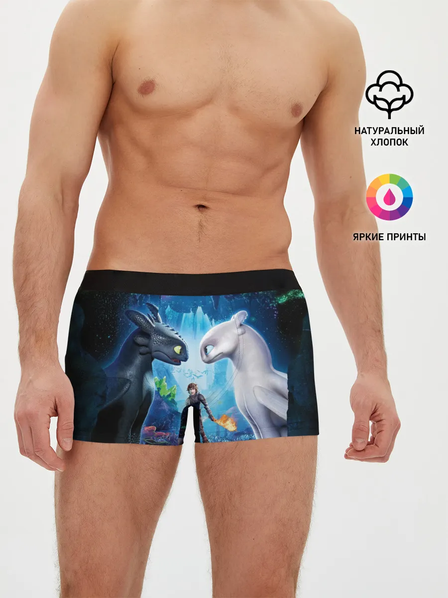 Мужские трусы боксеры / как приручить дракона