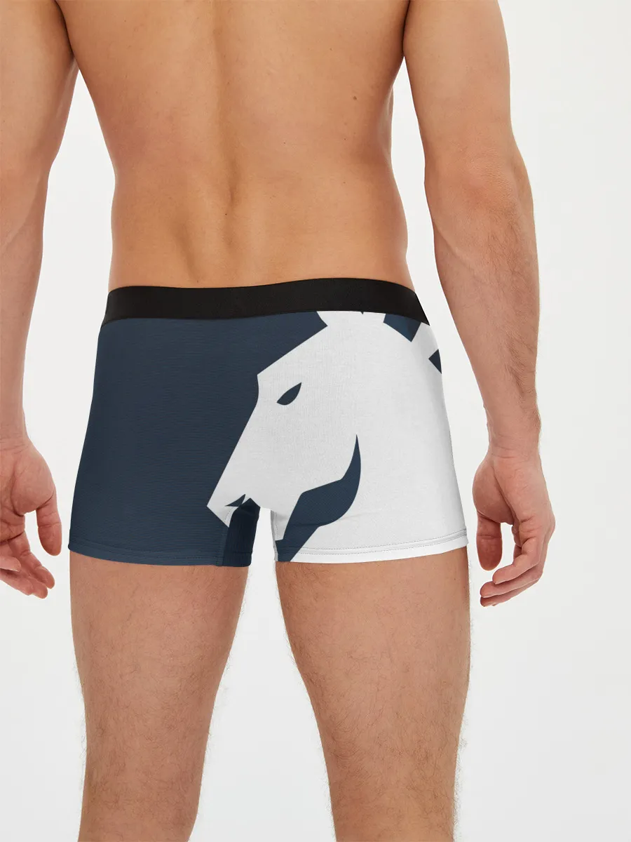 Мужские трусы боксеры / cs:go - Liquid team