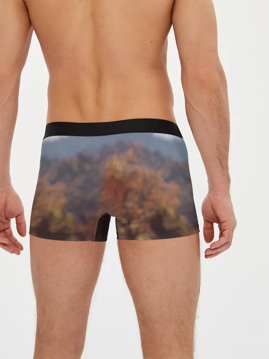 Мужские трусы боксеры / Fallout 76