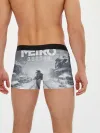 Мужские трусы боксеры / Metro Exodus: Артём