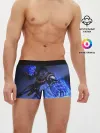 Мужские трусы боксеры / Варвик