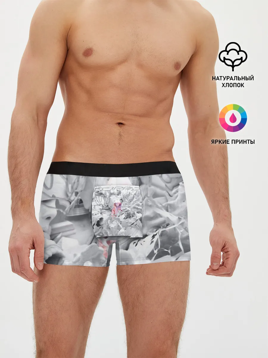 Мужские трусы боксеры / Boulevard Depo RAPP2
