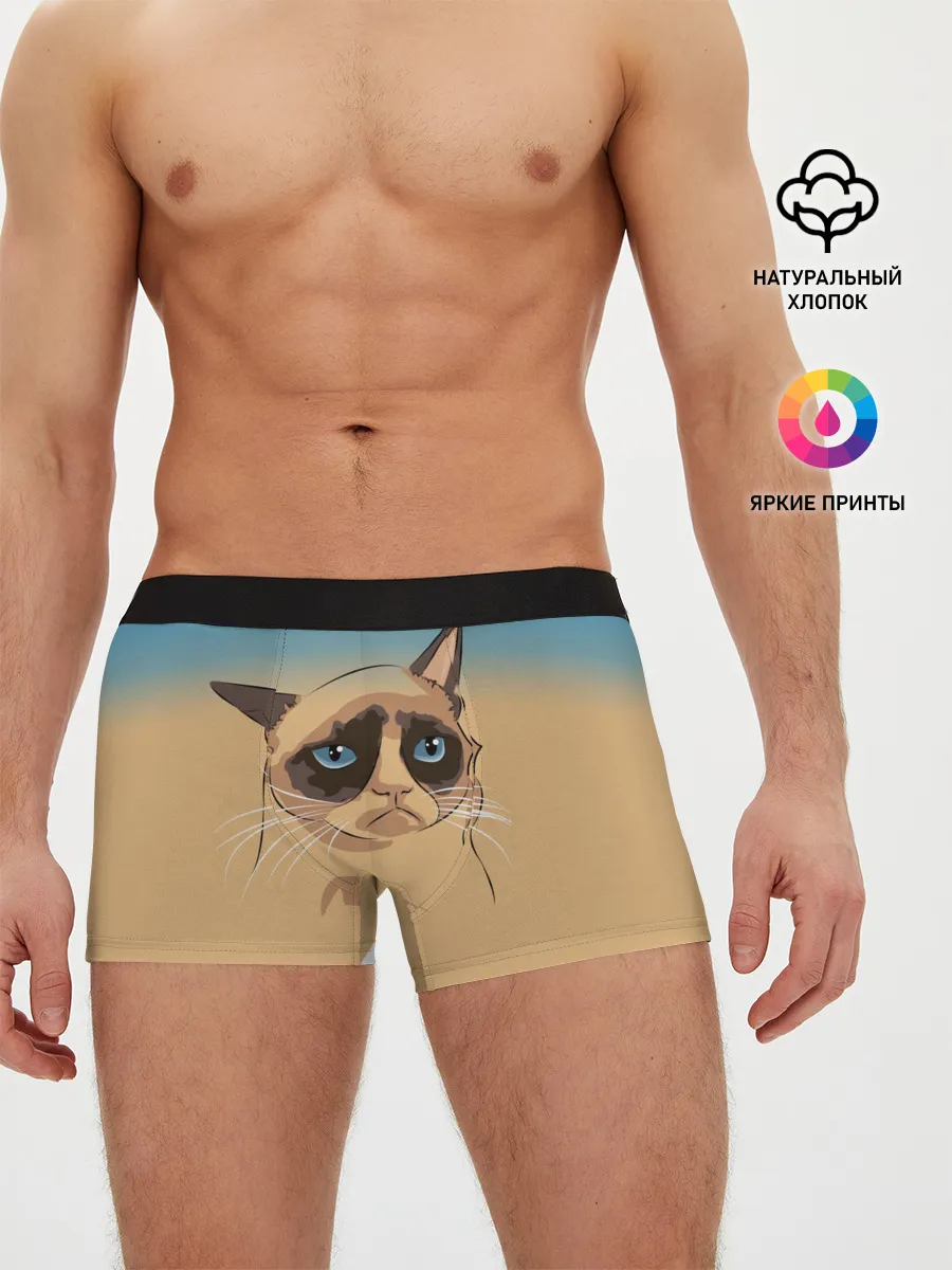 Мужские трусы боксеры / Grumpy cat ART