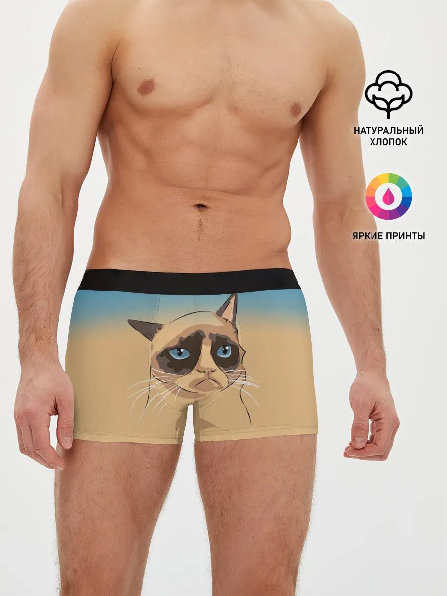Мужские трусы боксеры / Grumpy cat ART