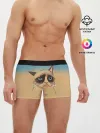 Мужские трусы боксеры / Grumpy cat ART