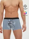 Мужские трусы боксеры / Kung fu