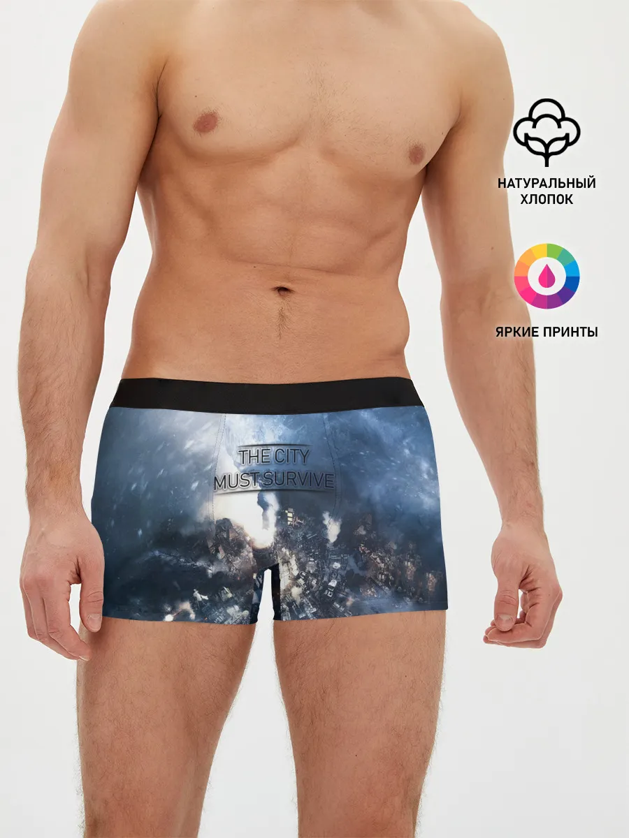 Мужские трусы боксеры / Фростпанк