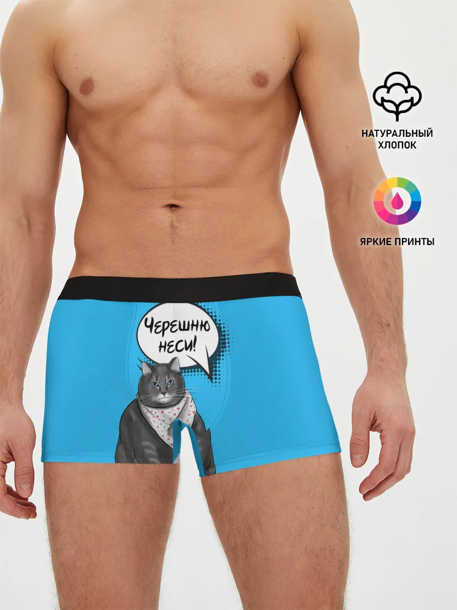 Мужские трусы боксеры / Толстый кот