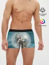 Мужские трусы боксеры / Волки
