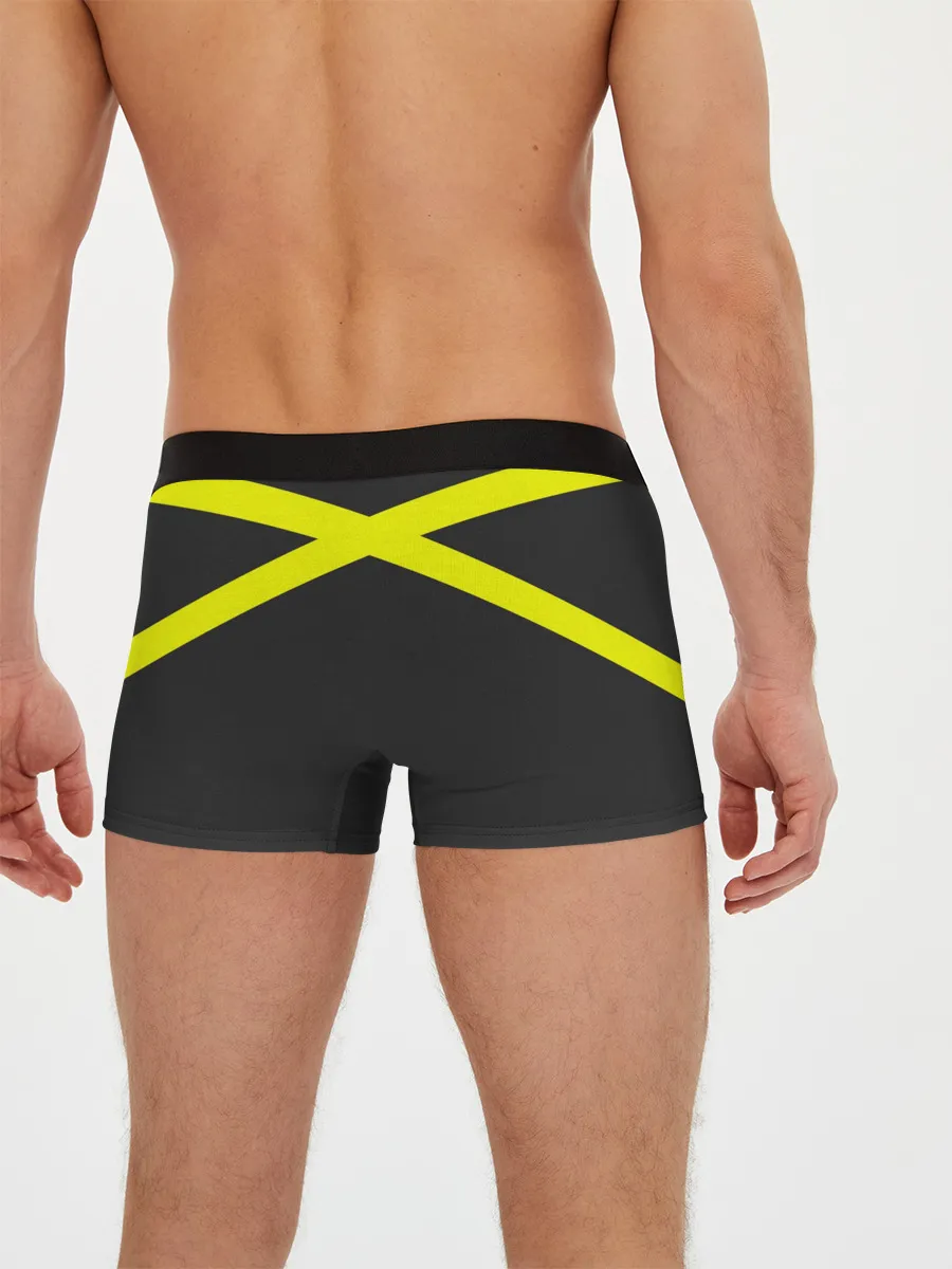 Мужские трусы боксеры / Twenty One Pilots