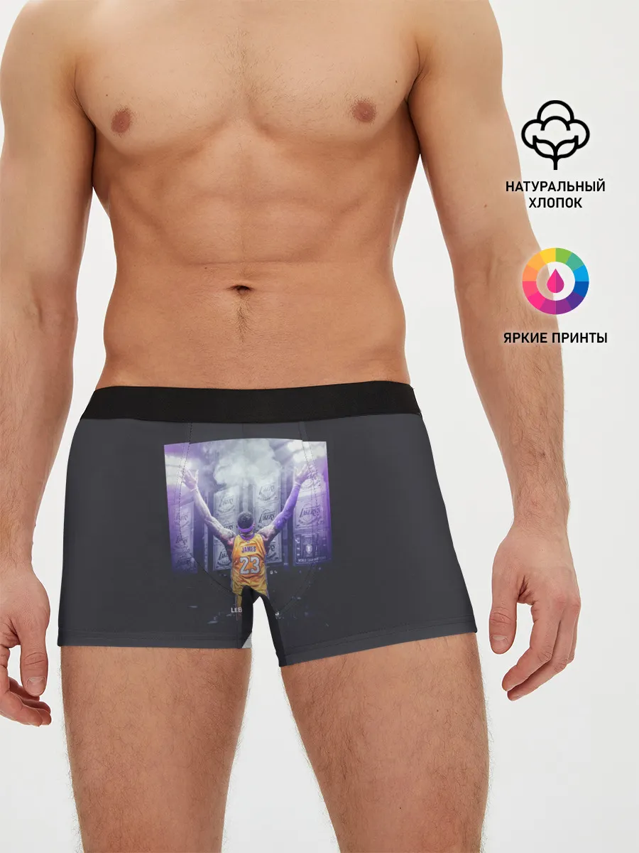 Мужские трусы боксеры / Lebron