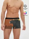 Мужские трусы боксеры / GODZILLA | ГОДЗИЛЛА