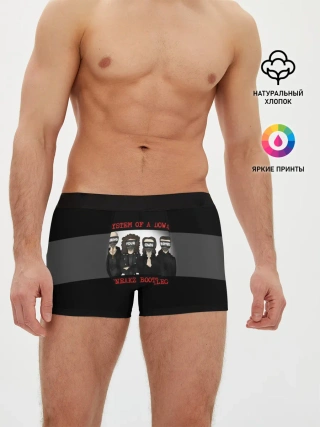 Мужские трусы боксеры / System of a Down