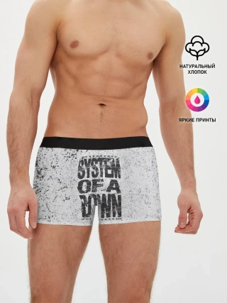Мужские трусы боксеры / System of a Down