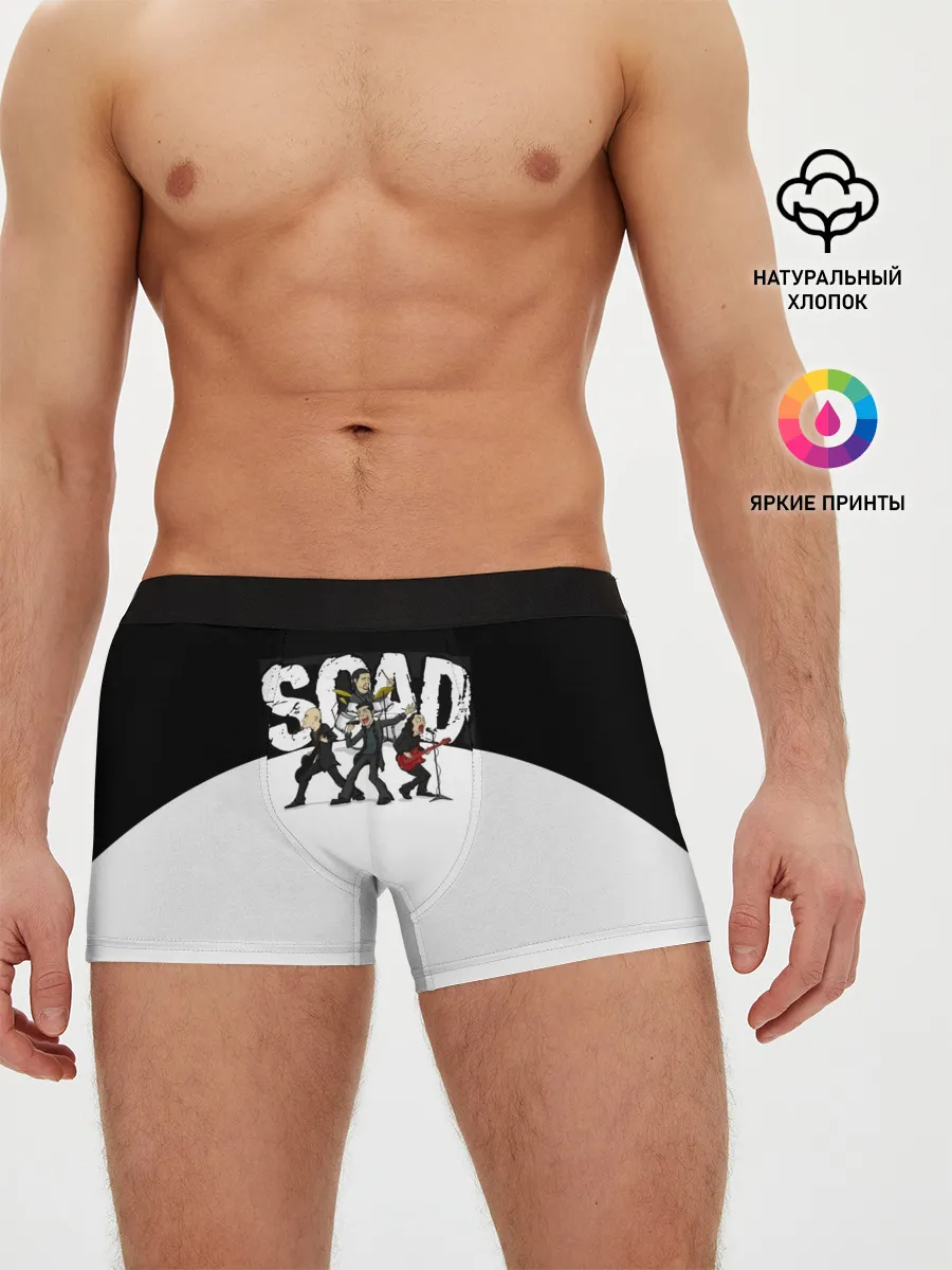 Мужские трусы боксеры / System of a Down