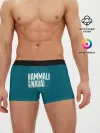 Мужские трусы боксеры / HammAli Navai blue