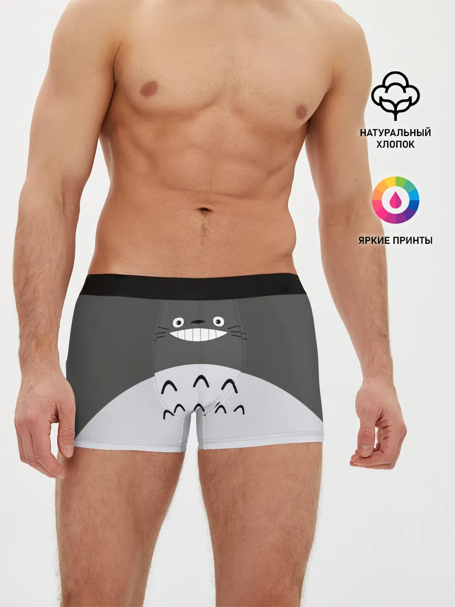 Мужские трусы боксеры / Большой Тоторо