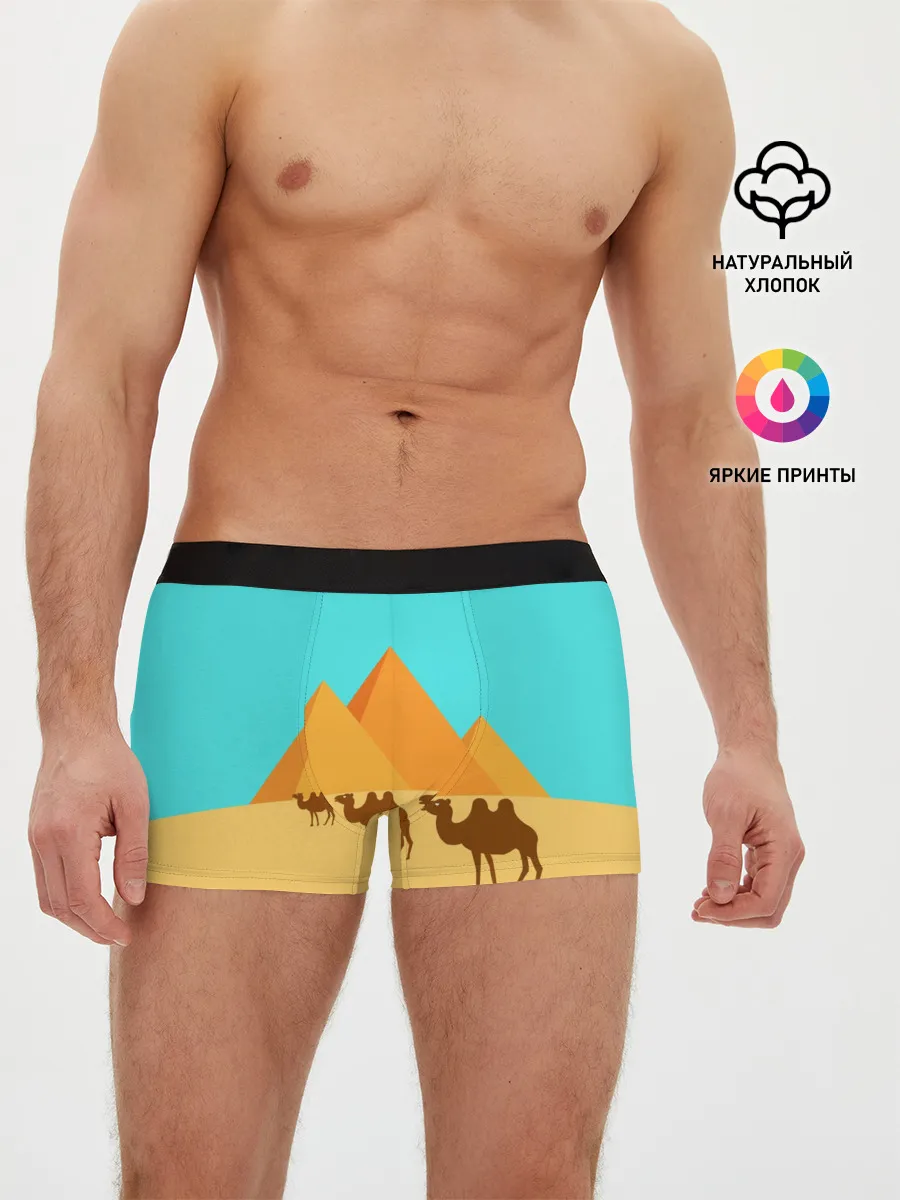 Мужские трусы боксеры / Пирамиды Египта