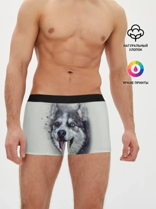 Мужские трусы боксеры / Хаска