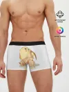 Мужские трусы боксеры / Милые покемоны