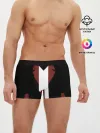 Мужские трусы боксеры / DMC 5 DANTE
