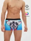 Мужские трусы боксеры / рождество