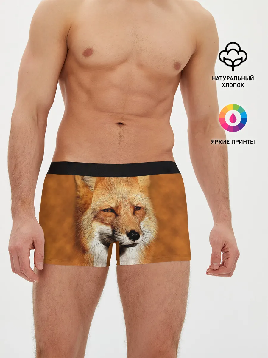 Мужские трусы боксеры / Лисичка