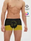 Мужские трусы боксеры / TWENTY ONE PILOTS TOP