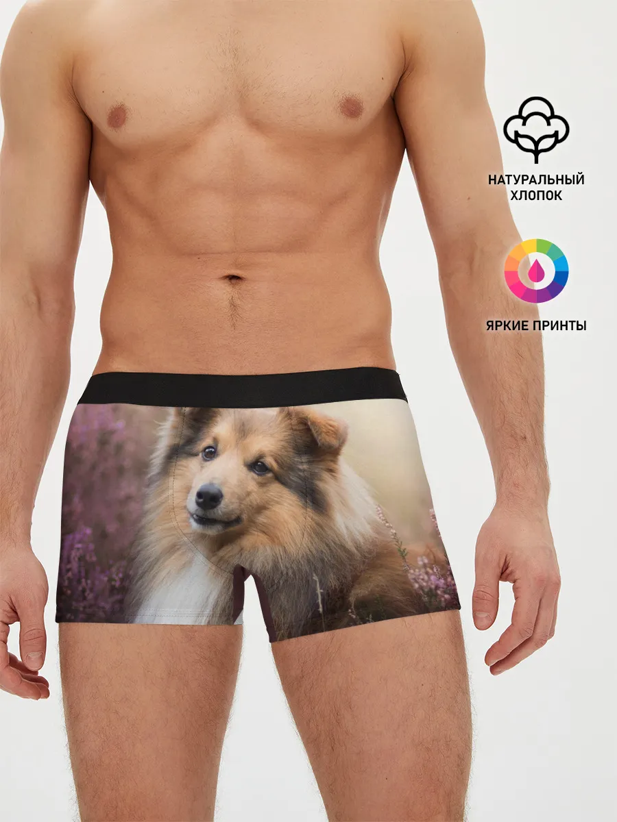 Мужские трусы боксеры / Шелти