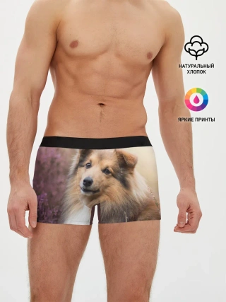 Мужские трусы боксеры / Шелти