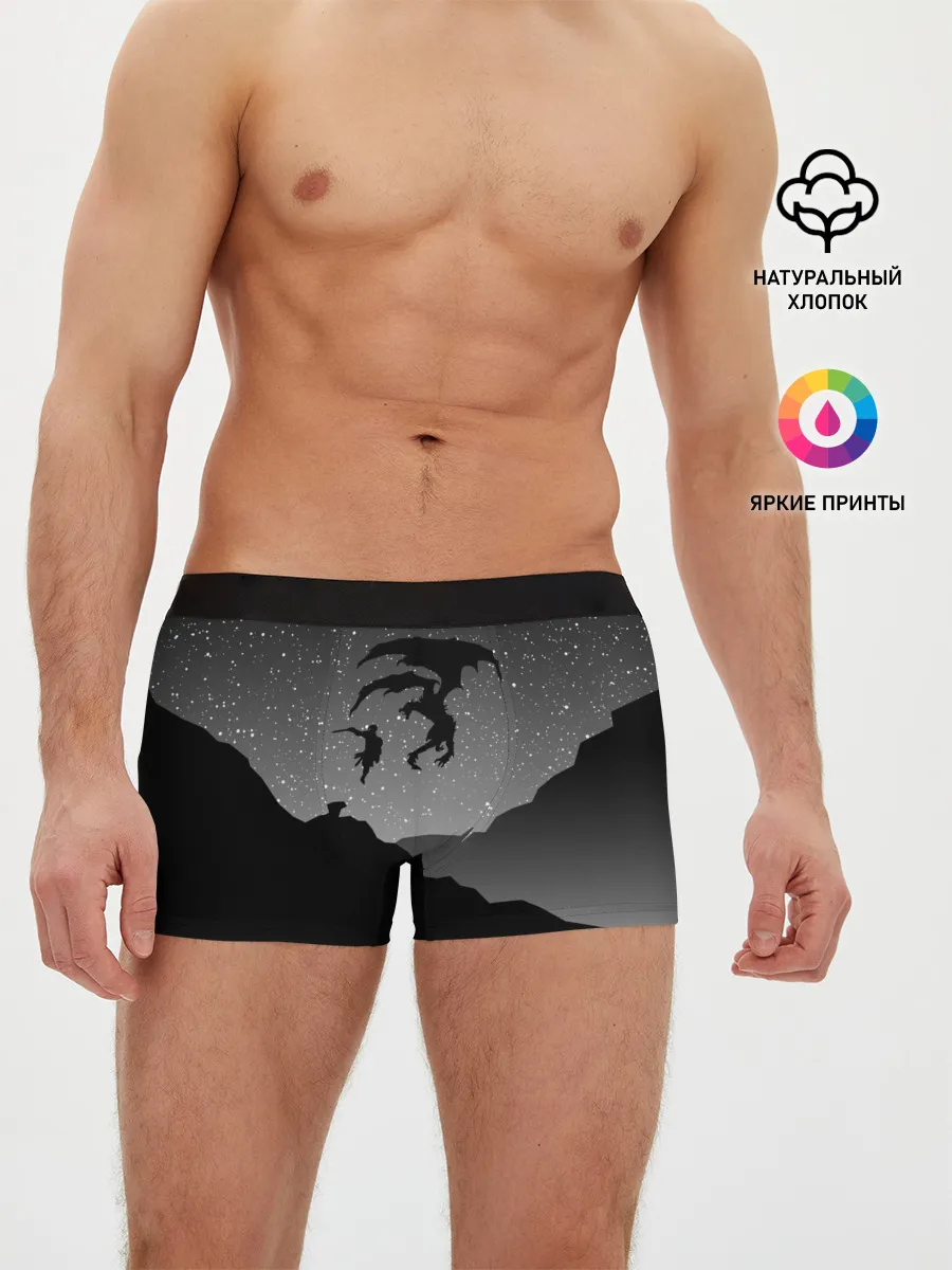 Мужские трусы боксеры / THE ELDER SCROLLS