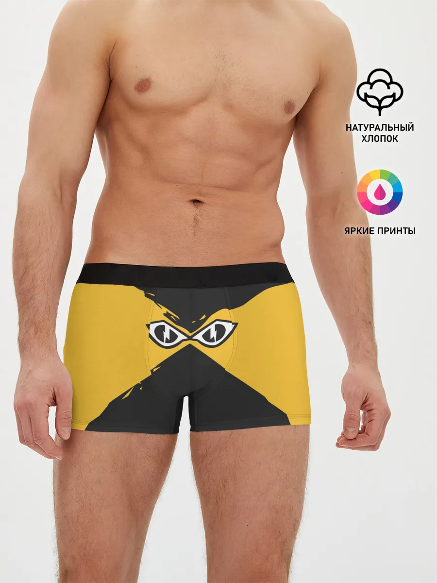 Мужские трусы боксеры / R6S IQ
