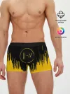 Мужские трусы боксеры / TWENTY ONE PILOTS