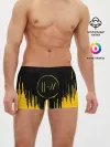 Мужские трусы боксеры / TWENTY ONE PILOTS