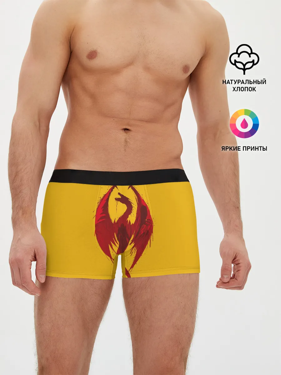 Мужские трусы боксеры / Красный Дракон