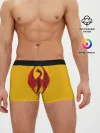 Мужские трусы боксеры / Красный Дракон