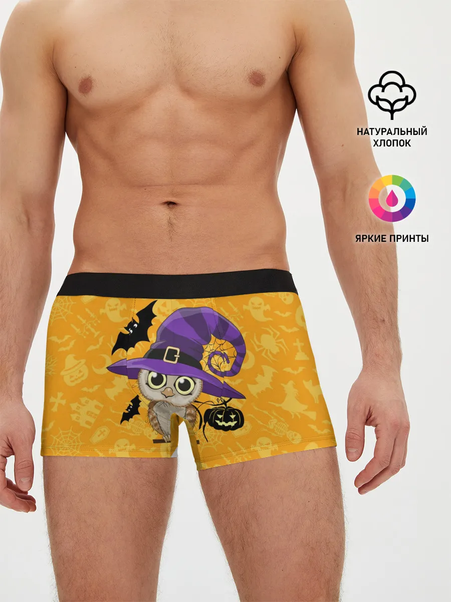 Мужские трусы боксеры / Совушка и хэллоуин