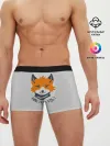 Мужские трусы боксеры / Hello Fox