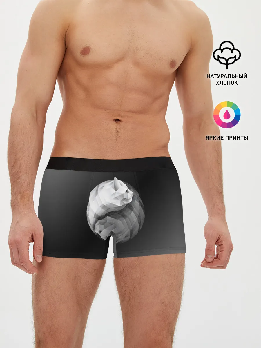 Мужские трусы боксеры / Янь Янь Котики