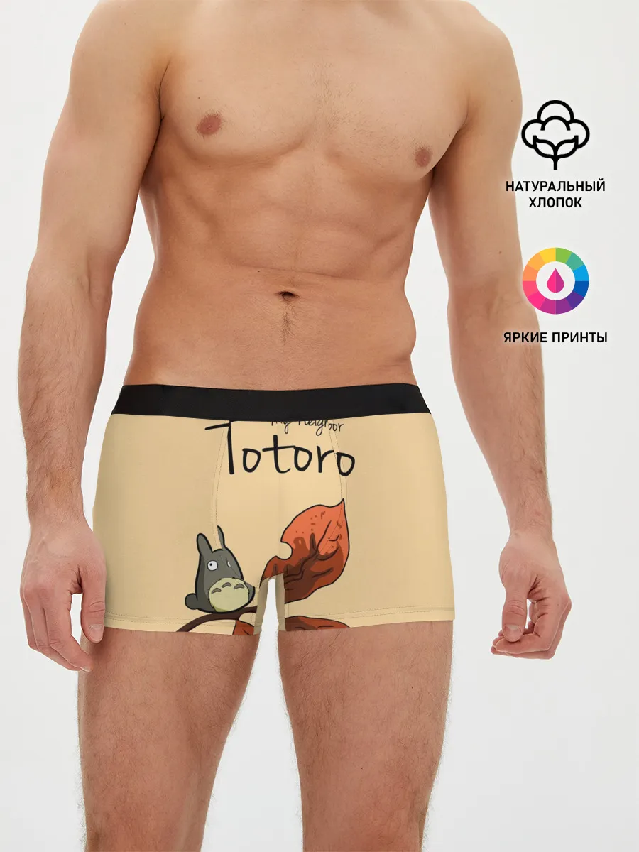 Мужские трусы боксеры / Tonari no Totoro