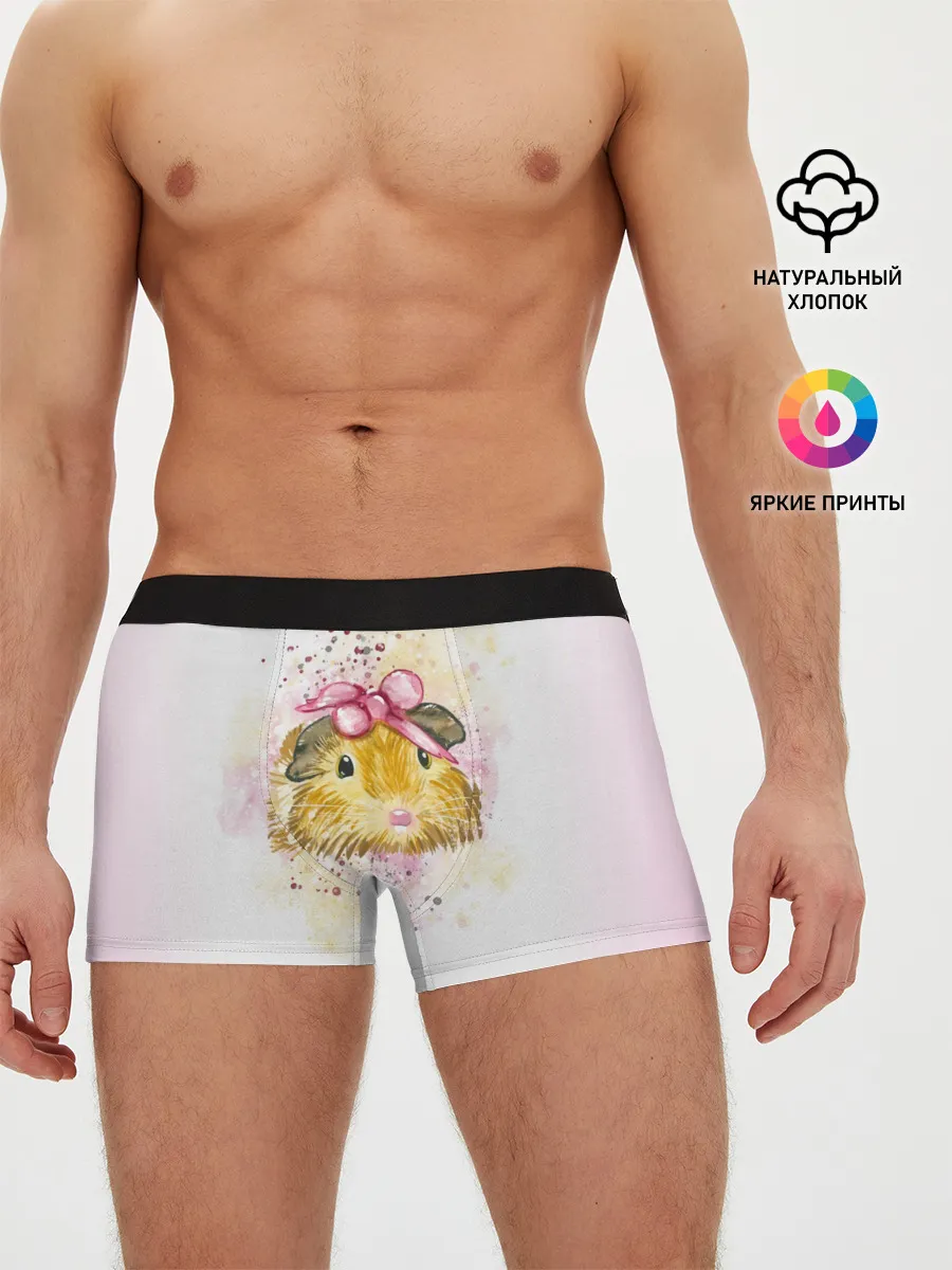 Мужские трусы боксеры / Морская свинка акварелью