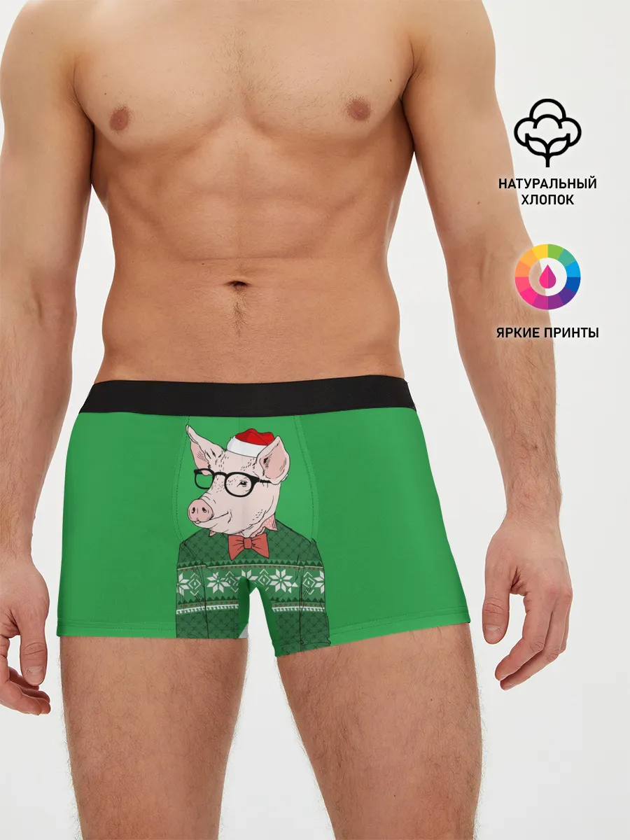 Мужские трусы боксеры / New Year Hipster Pig
