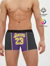 Мужские трусы боксеры / James LA Lakers 2019